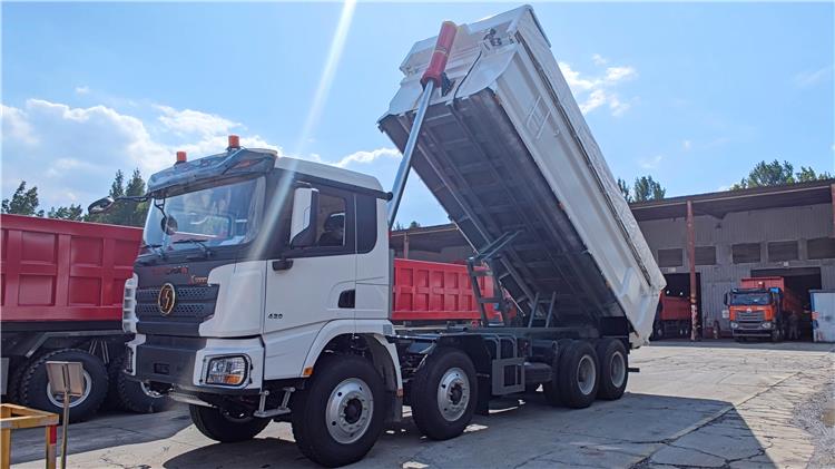 Camión volquete SHACMAN X3000 8x4 en venta en Guayana