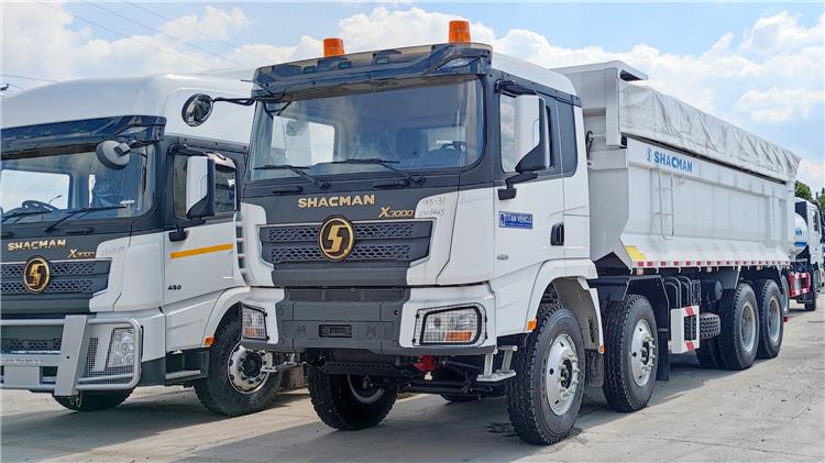 Camión volquete SHACMAN X3000 8x4 en venta en Guayana